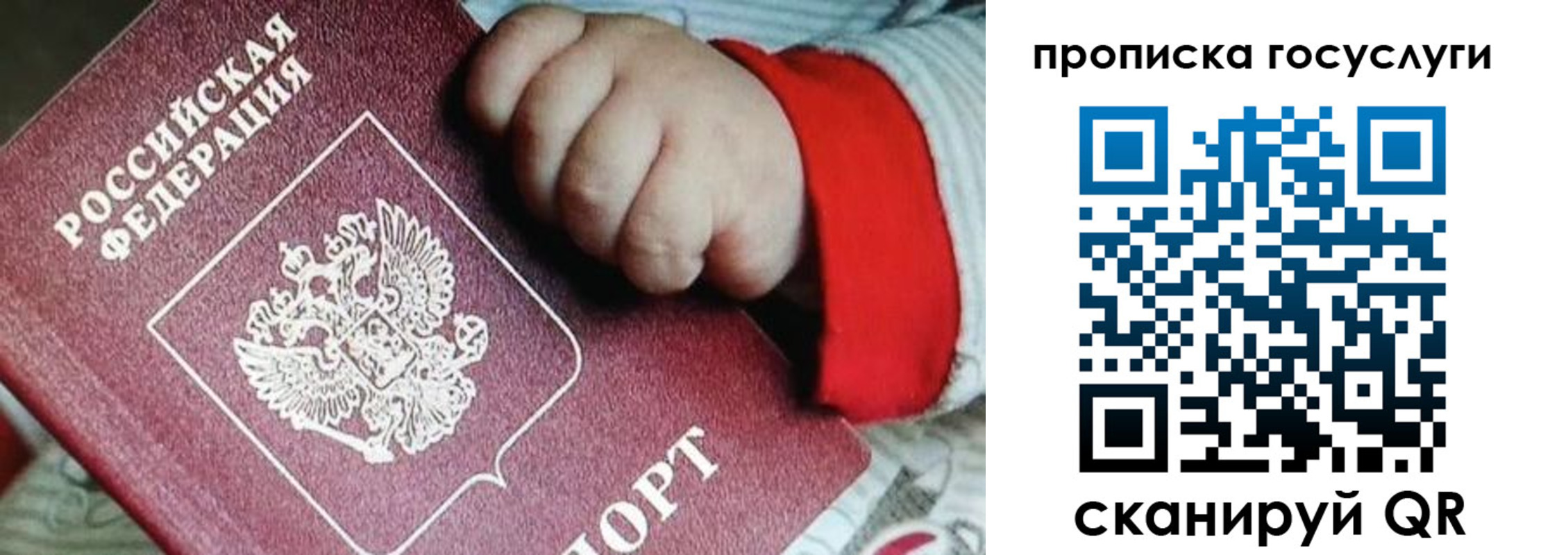 прописка штамп в Лодейном Поле